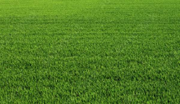 Oferta nr: 6139-S001CS