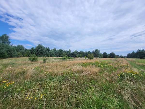 Oferta nr: 1185-S018CS