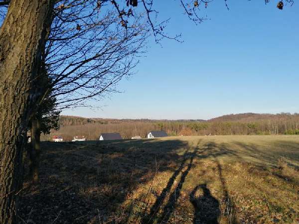 Oferta nr: 1766-S028CS